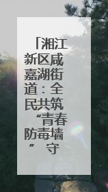 湘江新区咸嘉湖街道：全民共筑“青春防毒墙” 守护无毒未来