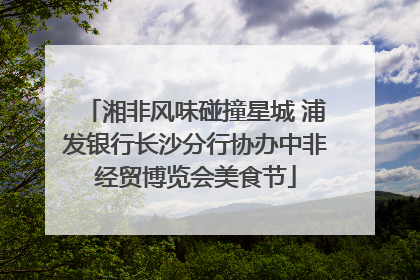 湘非风味碰撞星城 浦发银行长沙分行协办中非经贸博览会美食节