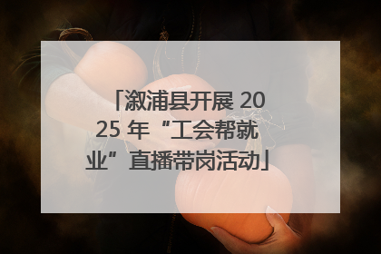 溆浦县开展 2025 年“工会帮就业”直播带岗活动