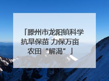 滕州市龙阳镇科学抗旱保苗 力保万亩农田“解渴”