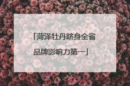 菏泽牡丹跻身全省品牌影响力第一
