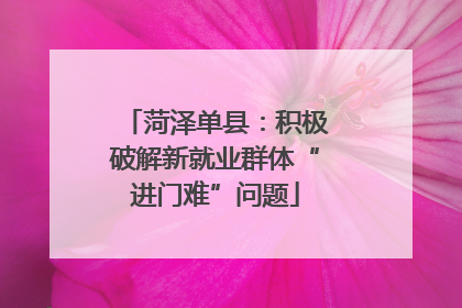 菏泽单县：积极破解新就业群体“进门难”问题