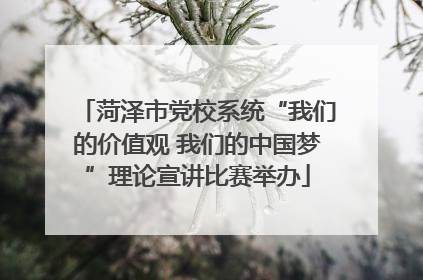 菏泽市党校系统“我们的价值观 我们的中国梦”理论宣讲比赛举办