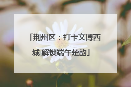 荆州区：打卡文博西城 解锁端午楚韵