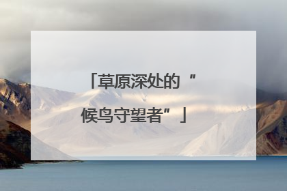 草原深处的“候鸟守望者”