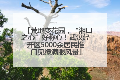 荒地变花园，“湘口之心”好称心！武汉经开区5000余居民推门见绿满眼风景