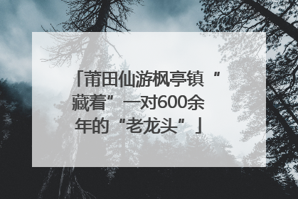 莆田仙游枫亭镇“藏着”一对600余年的“老龙头”