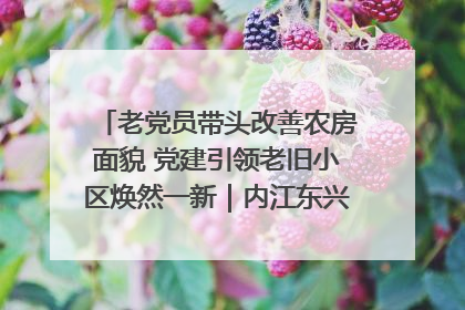 老党员带头改善农房面貌 党建引领老旧小区焕然一新｜内江东兴“红”在哪？④