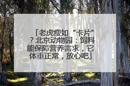 老虎瘦如“卡片”？北京动物园：饲料能保障营养需求，它体重正常，放心吧