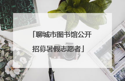 聊城市图书馆公开招募暑假志愿者