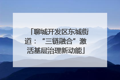 聊城开发区东城街道：“三链融合”激活基层治理新动能