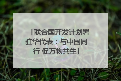 联合国开发计划署驻华代表：与中国同行 促万物共生