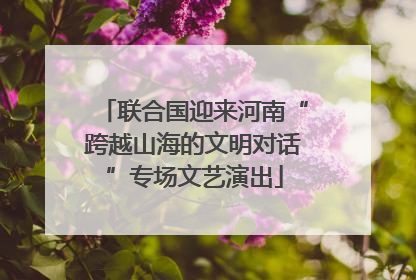 联合国迎来河南“跨越山海的文明对话”专场文艺演出