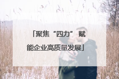 聚焦“四力” 赋能企业高质量发展