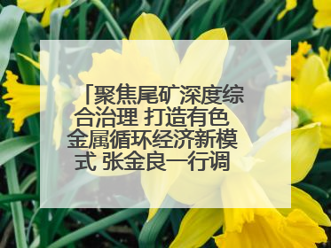 聚焦尾矿深度综合治理 打造有色金属循环经济新模式 张金良一行调研栾川县尾矿库综合治理工作