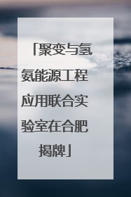 聚变与氢氨能源工程应用联合实验室在合肥揭牌