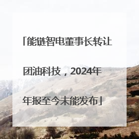 能链智电董事长转让团油科技，2024年年报至今未能发布