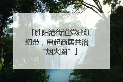 胜阳港街道党建红纽带，串起商居共治 “烟火圈”