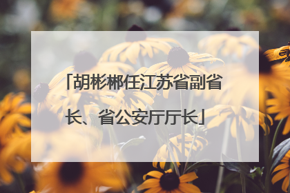 胡彬郴任江苏省副省长、省公安厅厅长