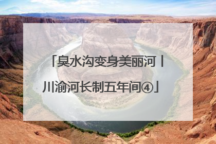 臭水沟变身美丽河丨川渝河长制五年间④