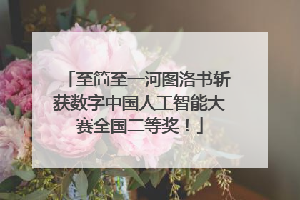 至简至一河图洛书斩获数字中国人工智能大赛全国二等奖！