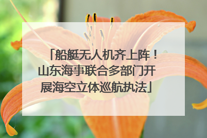 船艇无人机齐上阵！山东海事联合多部门开展海空立体巡航执法