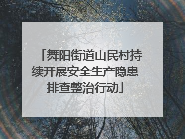 舞阳街道山民村持续开展安全生产隐患排查整治行动