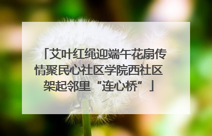 艾叶红绳迎端午花扇传情聚民心社区学院西社区架起邻里“连心桥”