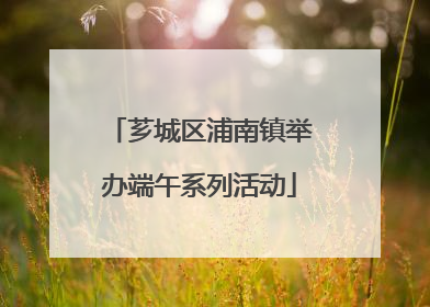 芗城区浦南镇举办端午系列活动