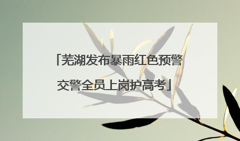 芜湖发布暴雨红色预警 交警全员上岗护高考