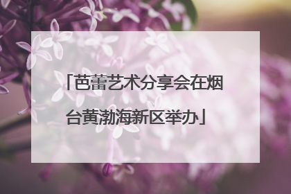 芭蕾艺术分享会在烟台黄渤海新区举办
