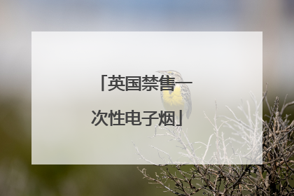 英国禁售一次性电子烟
