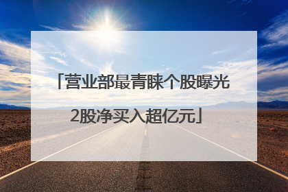 营业部最青睐个股曝光 2股净买入超亿元