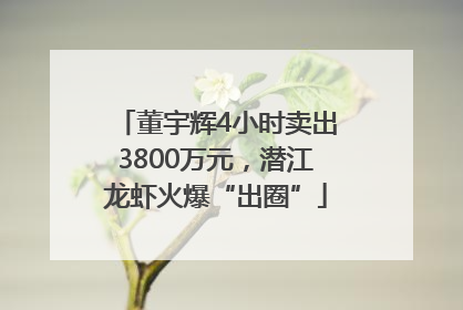 董宇辉4小时卖出3800万元，潜江龙虾火爆“出圈”