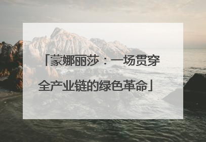 蒙娜丽莎：一场贯穿全产业链的绿色革命