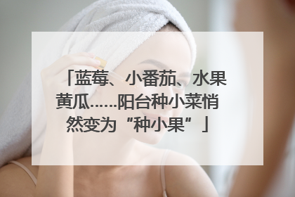 蓝莓、小番茄、水果黄瓜……阳台种小菜悄然变为“种小果”