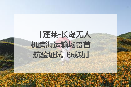 蓬莱-长岛无人机跨海运输场景首航验证试飞成功