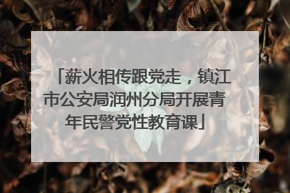 薪火相传跟党走，镇江市公安局润州分局开展青年民警党性教育课