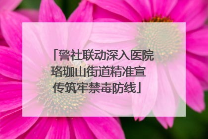 警社联动深入医院 珞珈山街道精准宣传筑牢禁毒防线