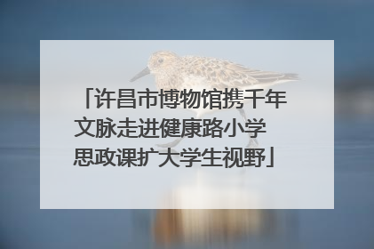 许昌市博物馆携千年文脉走进健康路小学 思政课扩大学生视野