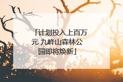 计划投入上百万元 九峰山森林公园即将焕新