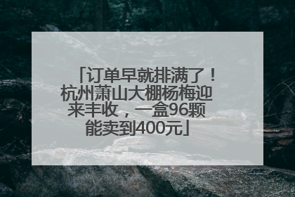 订单早就排满了！杭州萧山大棚杨梅迎来丰收，一盒96颗能卖到400元