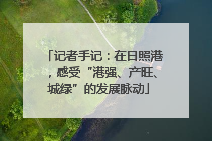 记者手记：在日照港，感受“港强、产旺、城绿”的发展脉动