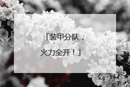装甲分队，火力全开！