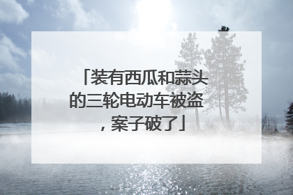 装有西瓜和蒜头的三轮电动车被盗，案子破了
