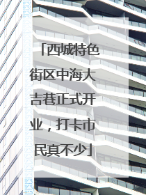西城特色街区中海大吉巷正式开业，打卡市民真不少
