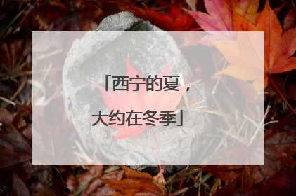 西宁的夏，大约在冬季