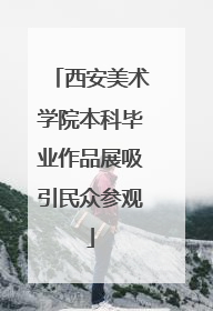 西安美术学院本科毕业作品展吸引民众参观