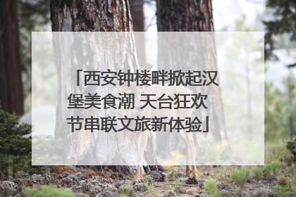 西安钟楼畔掀起汉堡美食潮 天台狂欢节串联文旅新体验
