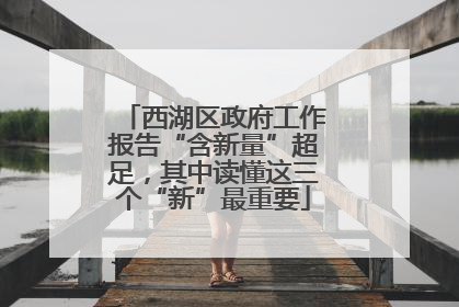 西湖区政府工作报告“含新量”超足，其中读懂这三个“新”最重要